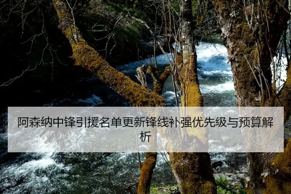 阿森纳中锋引援名单更新锋线补强优先级与预算解析