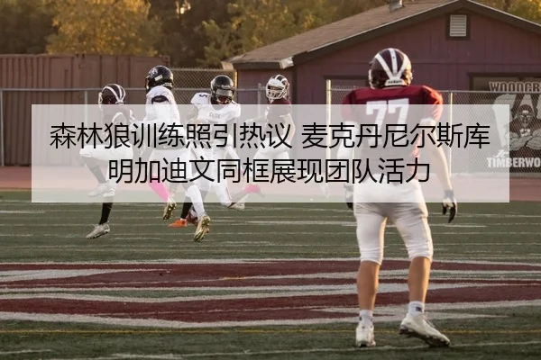 森林狼训练照引热议 麦克丹尼尔斯库明加迪文同框展现团队活力